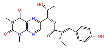 Duramidine B